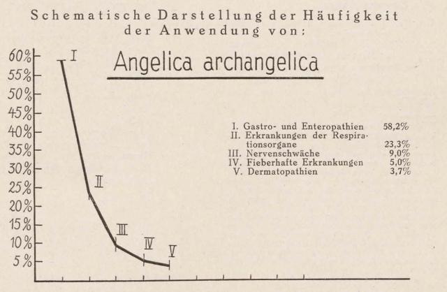 Madaus Schema Angelica Archangelica