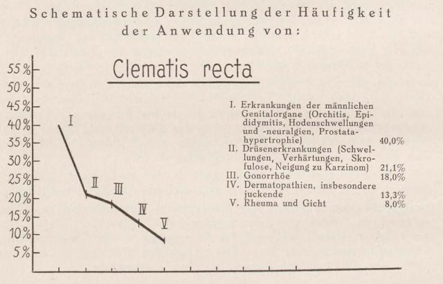 Madaus Schema Clematis Recta