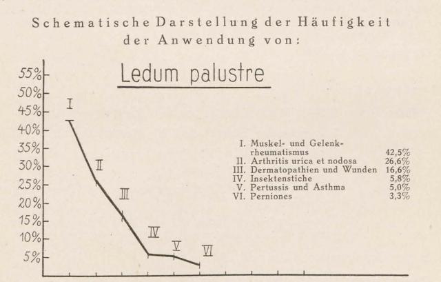 Madaus Schema Ledum Palustre