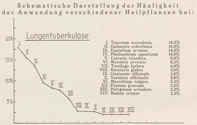 Madaus Schema Lungentuberkulose Teucrium Scor