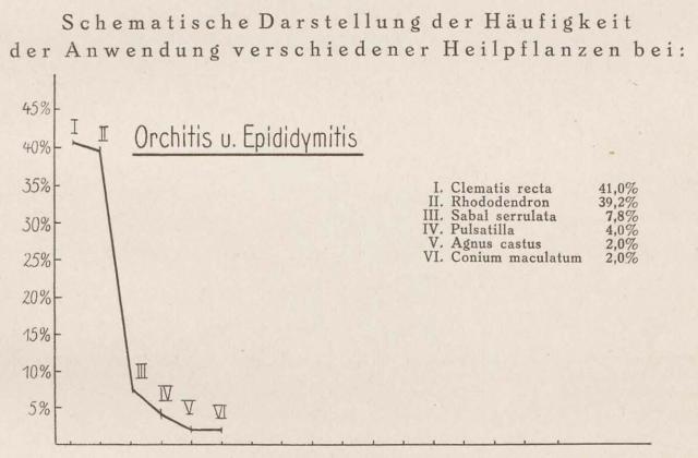 Madaus Schema Orchitis Clematis Rec