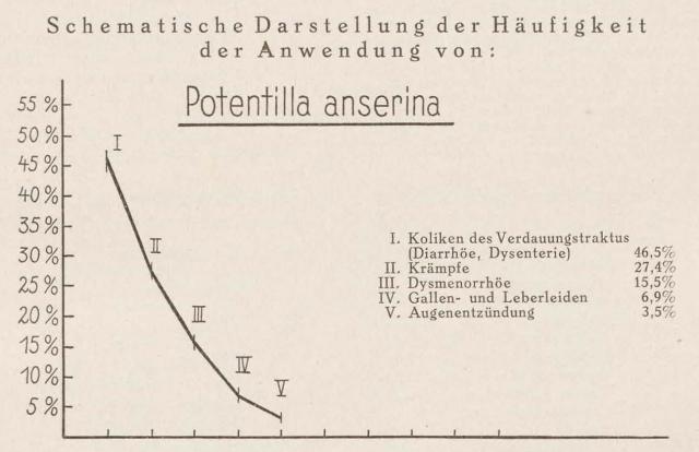 Madaus Schema Potentilla Anserina