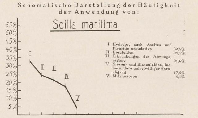 Madaus Schema Scilla Maritima