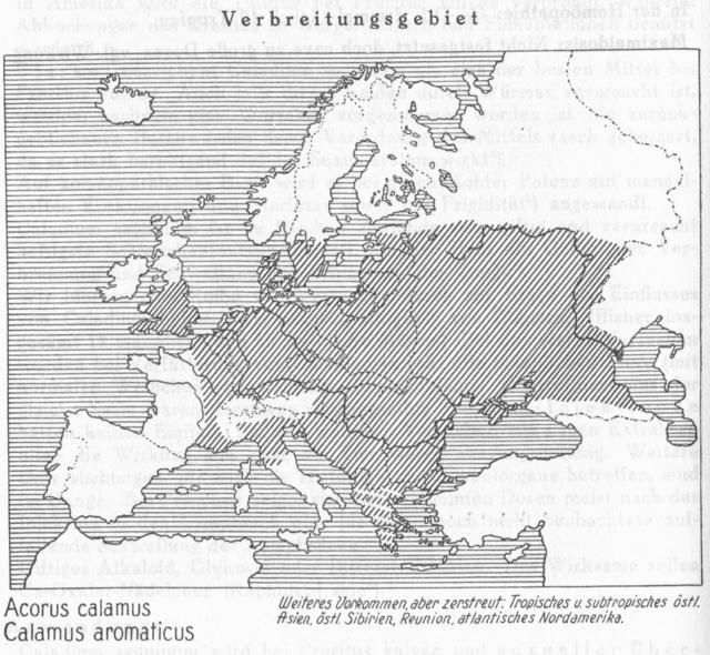 Karte 068. Acorus calamus.