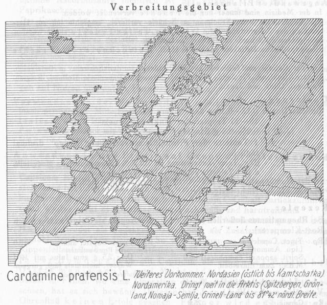 Karte 075. Cardamine pratensis.