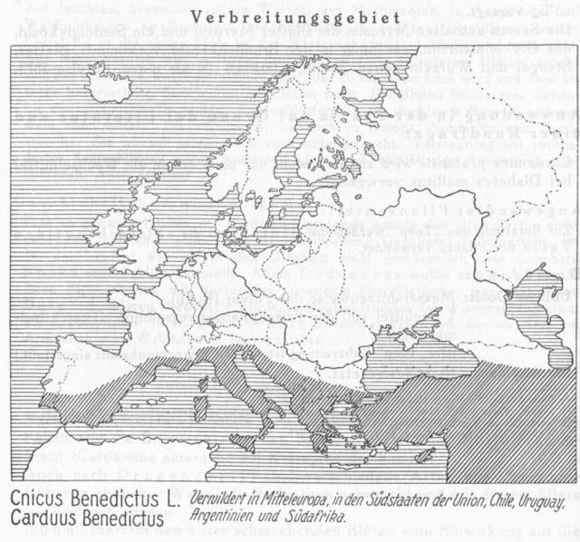 Karte 076. Cnicus Benedictus.