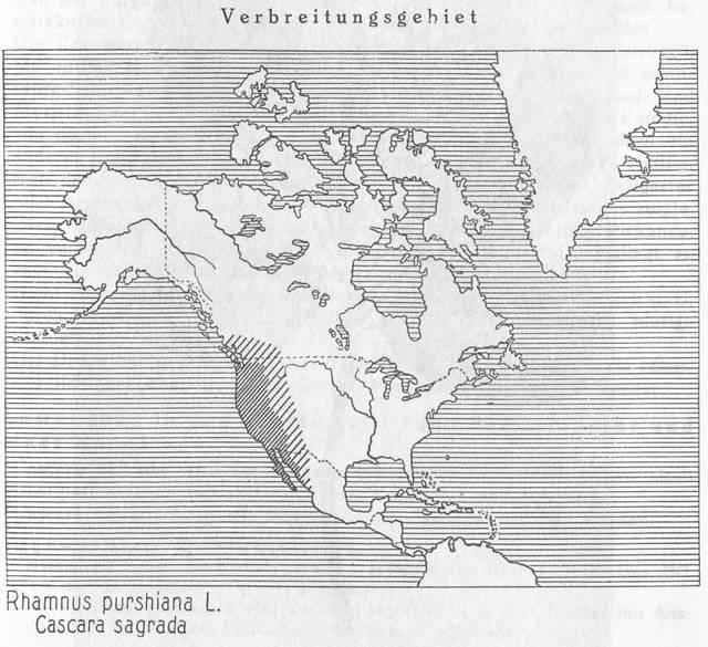 Karte 081. Rhamnus purshiana.