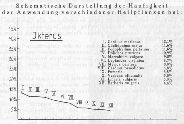 Schema 019. Heilpflanzen bei Ikterus.