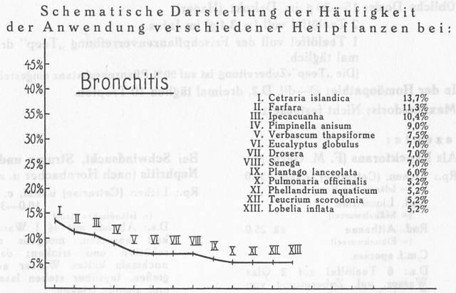 Schema 021. Heilpflanzen bei Bronchitis.