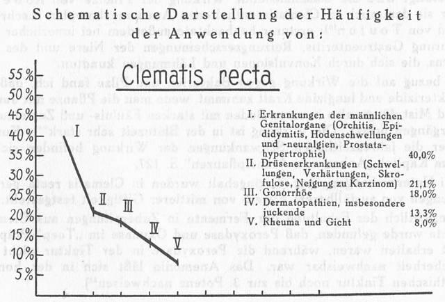 Schema 028. Anwendung von Clematis recta.