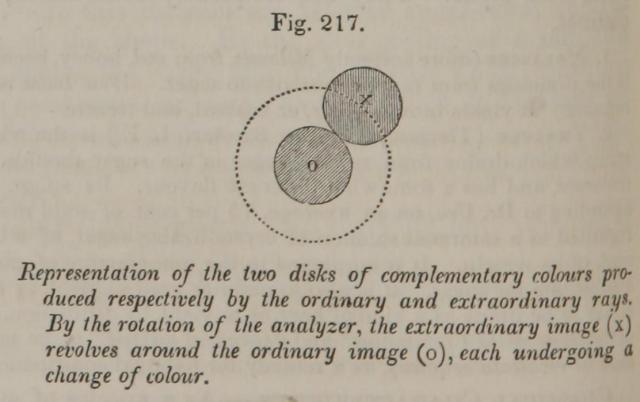 Fig. 217. Representation of the two disks of compl...