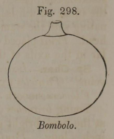 Fig. 298. Bombolo.