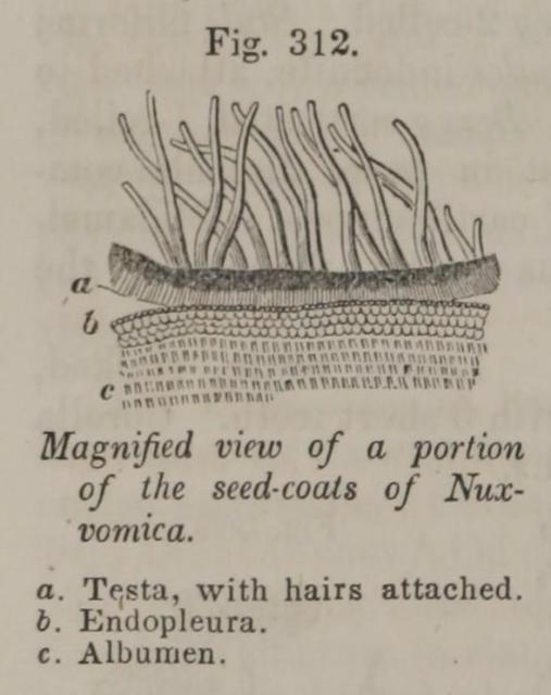 Fig. 312. Magnified view of a portion