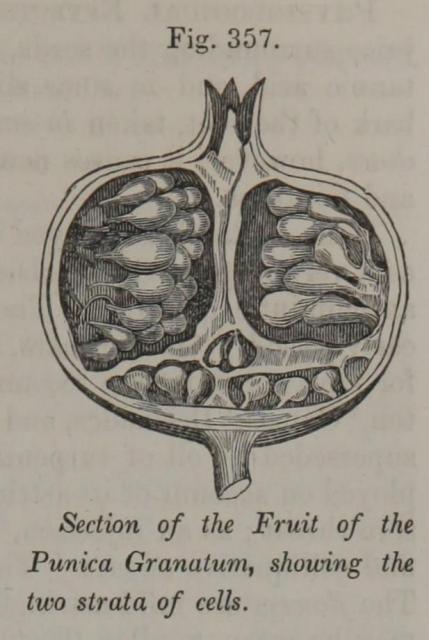 Pereira Fig 357