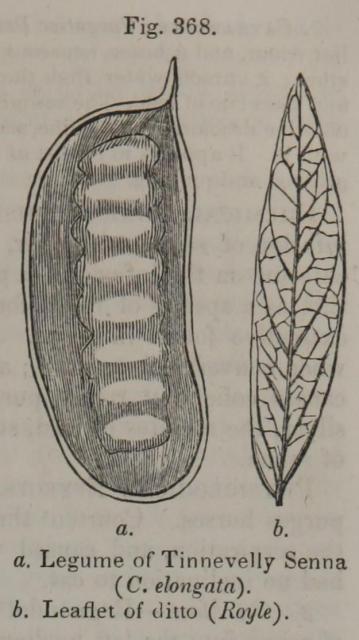 Pereira Fig 368