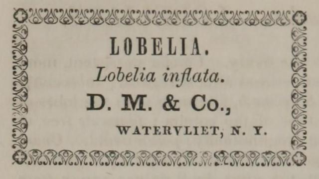 Pereira Label Lobelia