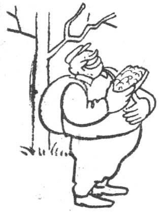Kuva 28. Evästahna.
