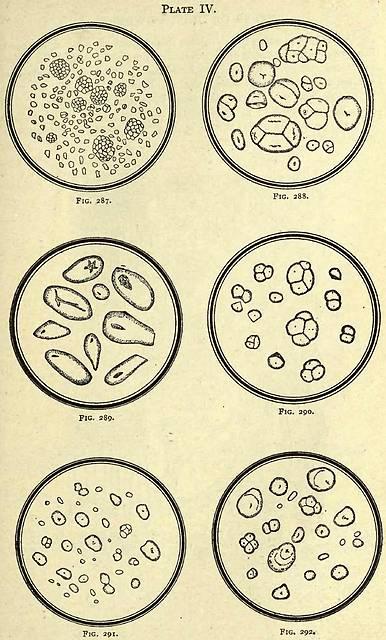 Fig. 287-202.