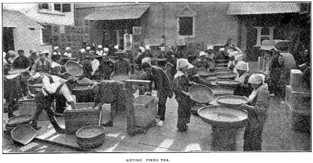 30. Sifting fired tea.