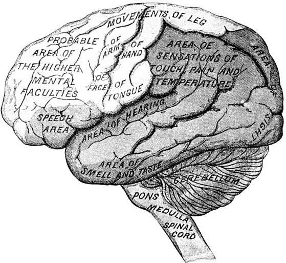 Figure 46. A diagram designed