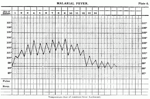 Plate 6: Malarial Fever.