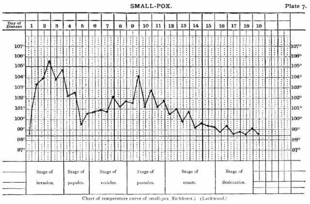 Plate 7: Small-Pox.