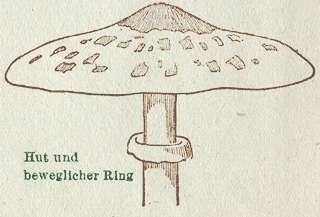 Fig. 8. Hut und beweglicher Ring.