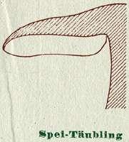 Fig. 13. Spei-Täubling.