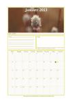 Calendar 2013, January.