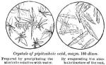 Crystals of pipitzahoic acid.