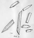 Fig. 3.—Crystals of calcium oxalate from rhizome