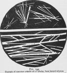 Fig. 144. Crystals of concrete volatile oil of lob...