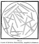 Fig. 34. Crystals of Berberine Hydrochlorate