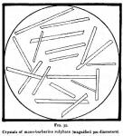 Fig. 35. Crystals of mono-berberine sulphate