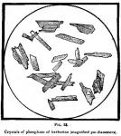 Fig. 38. Crystals of phosphate of berberine