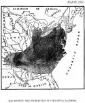 Plate 22. Map showing the distribution of Cimicifu...