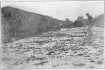 Licorice stacks near wreckage of old Roman highway...