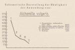 Schema: Alchemilla Vulgaris