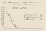 Schema: Allium Sativum