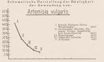 Schema: Artemisia Vulgaris