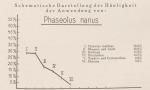 Madaus Schema Phaseolus Nanus