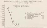 Madaus Schema Spigelia Anthelmia