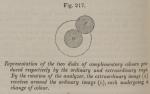 Fig. 217. Representation of the two disks of compl...