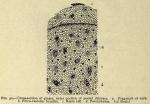 Fig. 40 Cross-section of ginger.