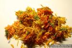 Photo: Calendula officinalis 25.